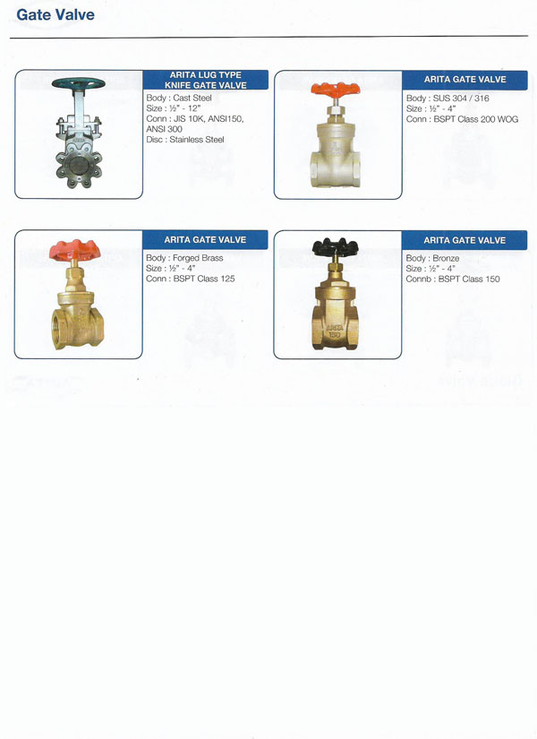 gate valve 2
